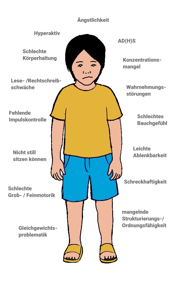 Reflexintegration nach Sieber & Paasch